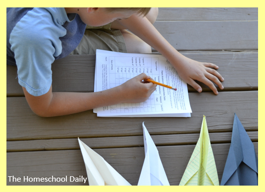 Paper Airplane Experiment | The Homeschool Daily