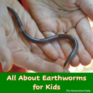 All About Earthworms For Kids | The Homeschool Daily