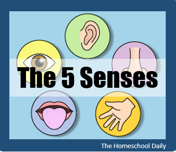 Elementary Science Units - The Homeschool Daily