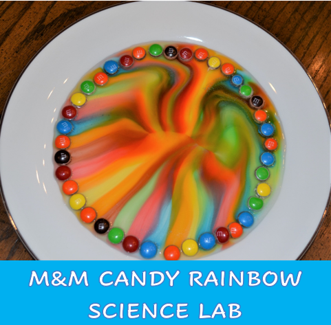 M&M CANDY RAINBOW LAB - The Homeschool Daily