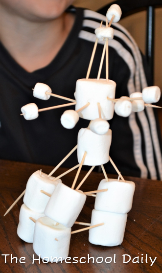 Marshmallow Marvel STEAM LAB - The Homeschool Daily