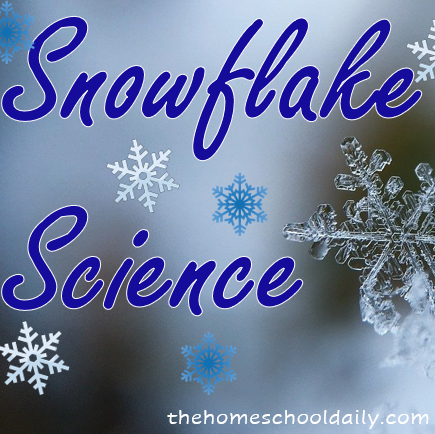 Snowflake Science 