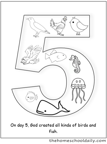 Days of Creation Coloring Pages - The Homeschool Daily
