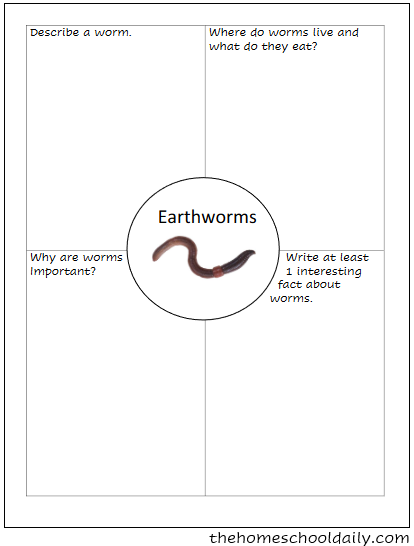 earthworm observation