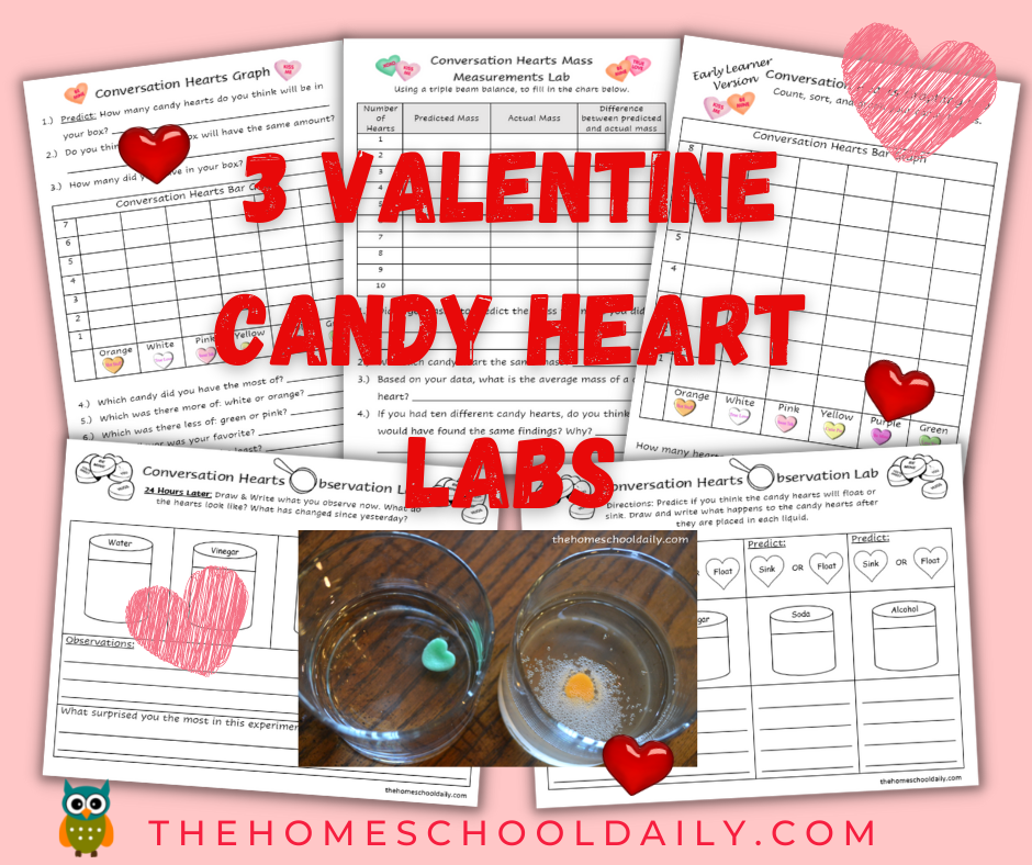 Free Printable Valentine's BINGO - The Homeschool Daily