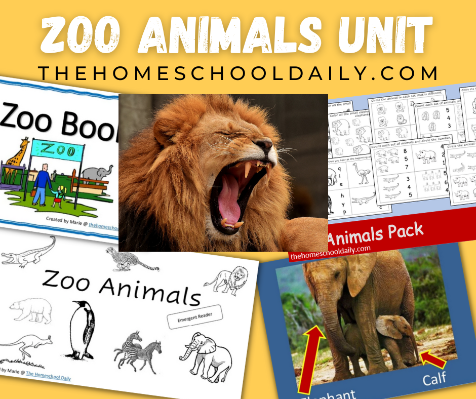 Zoo Animals Unit - The Homeschool Daily