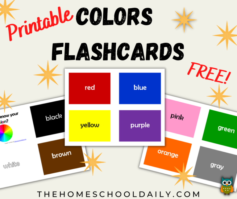 Printable Colors Flashcards - The Homeschool Daily