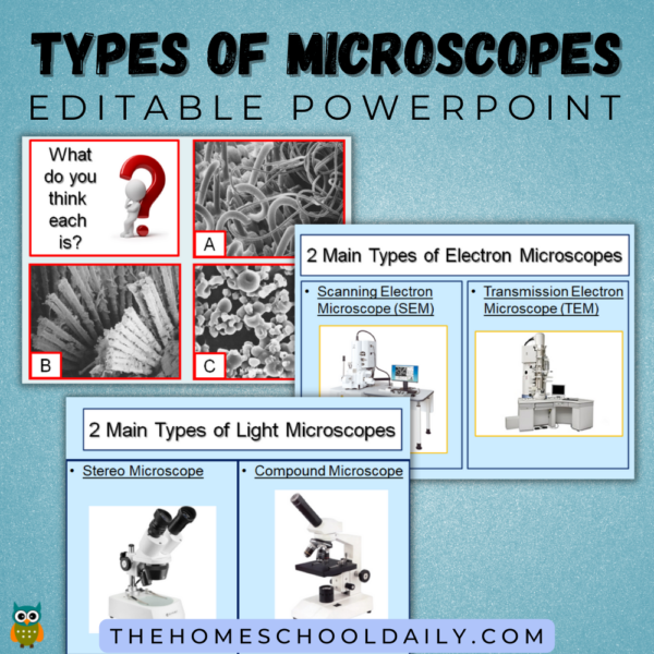 Types of Microscopes Pack - The Homeschool Daily