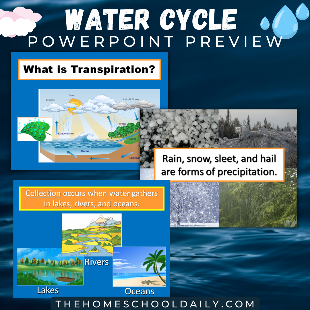 Water Cycle Powerpoint & Printables - The Homeschool Daily