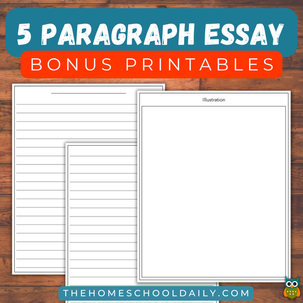 essay graphic organizers