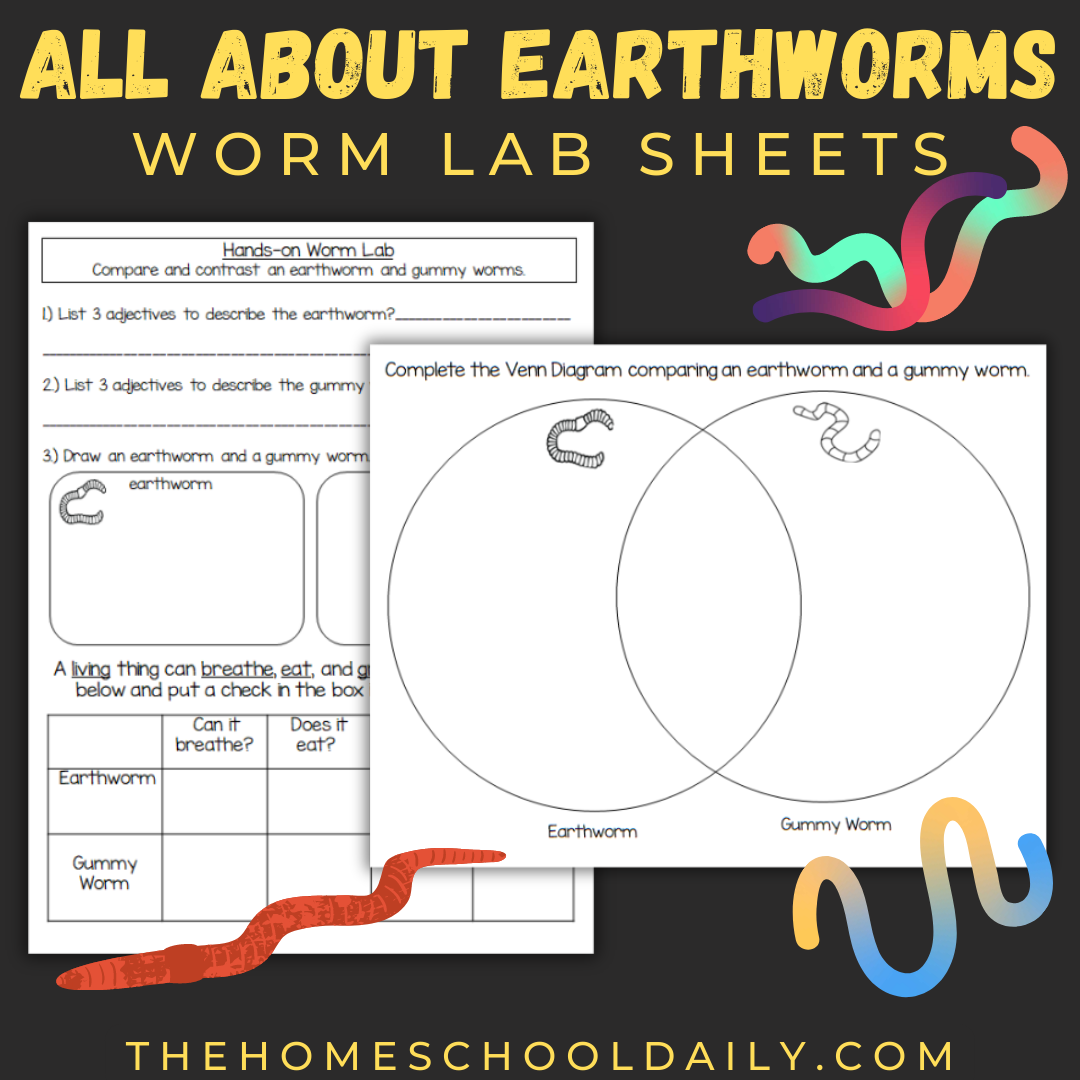 All About Earthworms For Kids - The Homeschool Daily