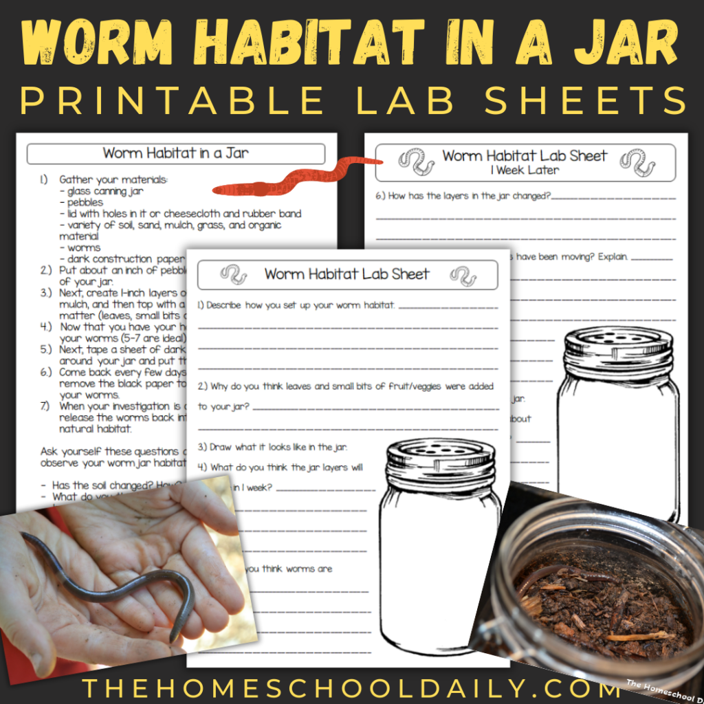 All About Earthworms For Kids - The Homeschool Daily