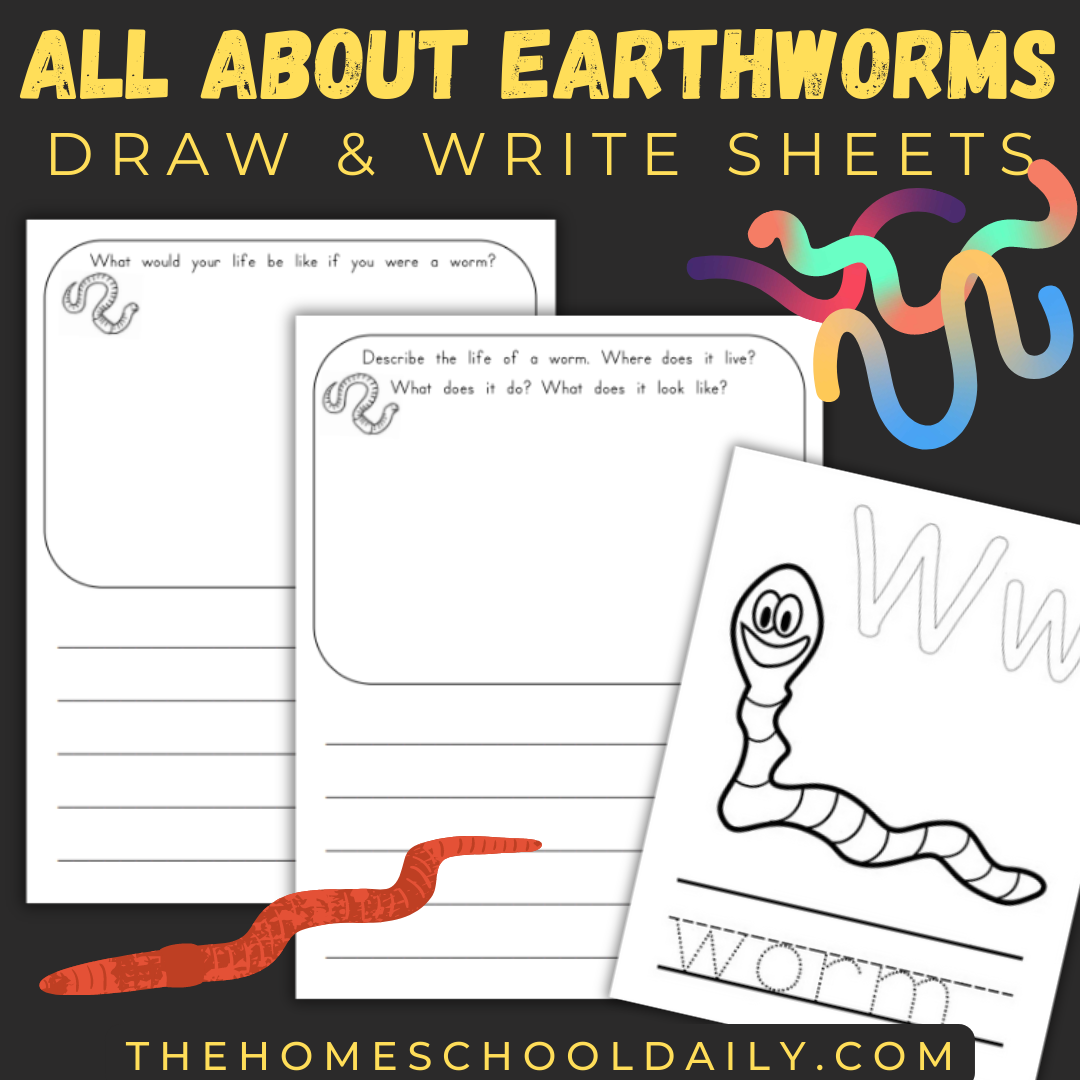 All About Earthworms For Kids - The Homeschool Daily