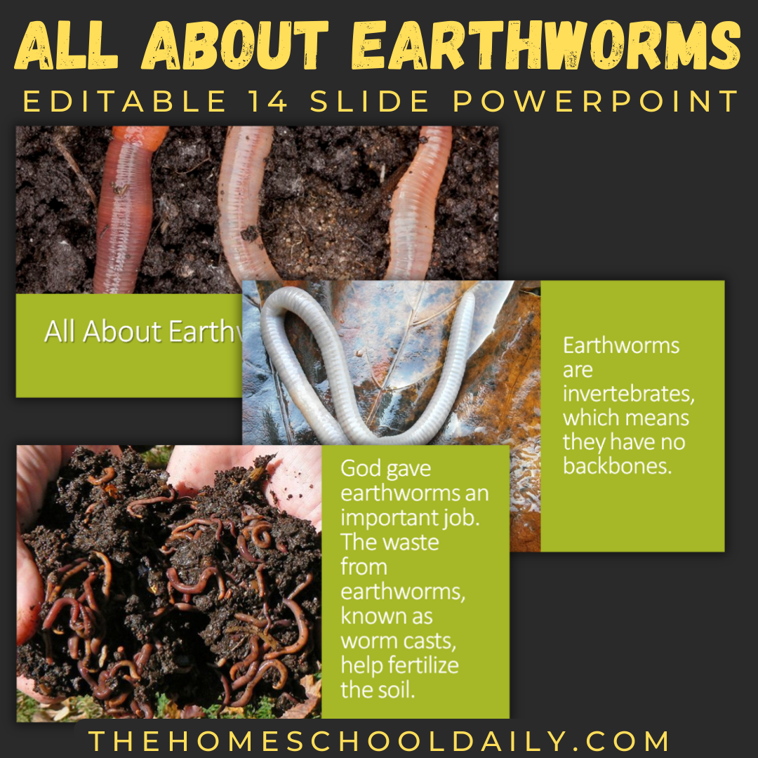 Earthworm Unit Study - The Homeschool Daily