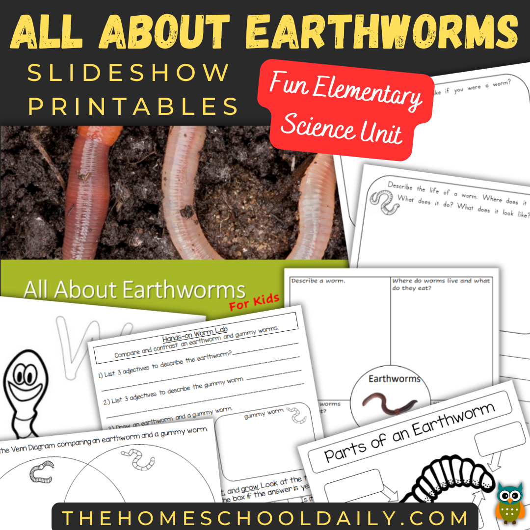 All About Earthworms for Kids - The Homeschool Daily