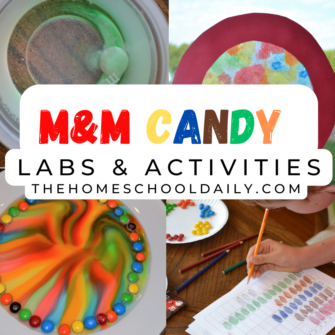 M&M CANDY RAINBOW LAB - The Homeschool Daily