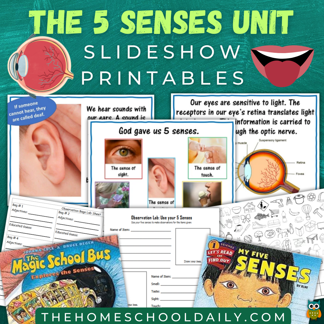 The 5 Senses Unit - The Homeschool Daily