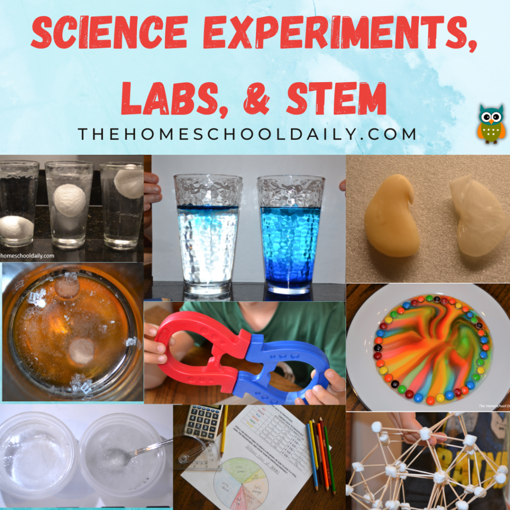 Science Experiments, Labs, & STEM - The Homeschool Daily